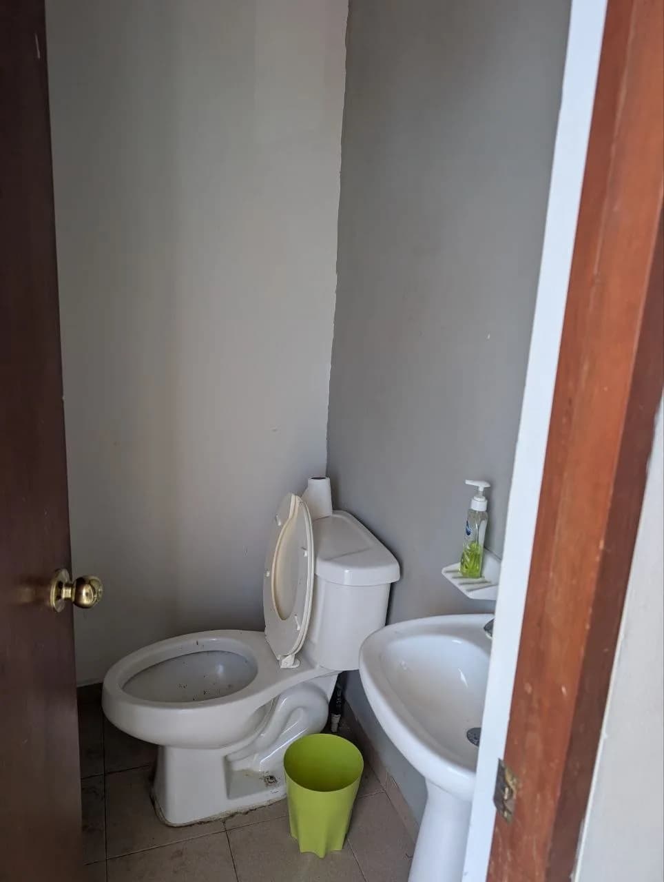 Baño pequeño con inodoro blanco, lavabo con pedestal, bote verde y paredes grises